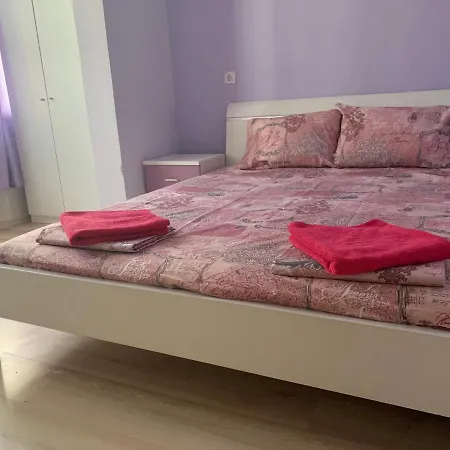 Dari's House